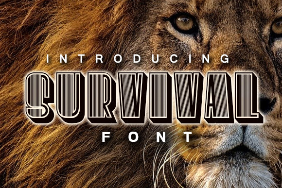 Survival: A Bold Typeface for Creative Expression